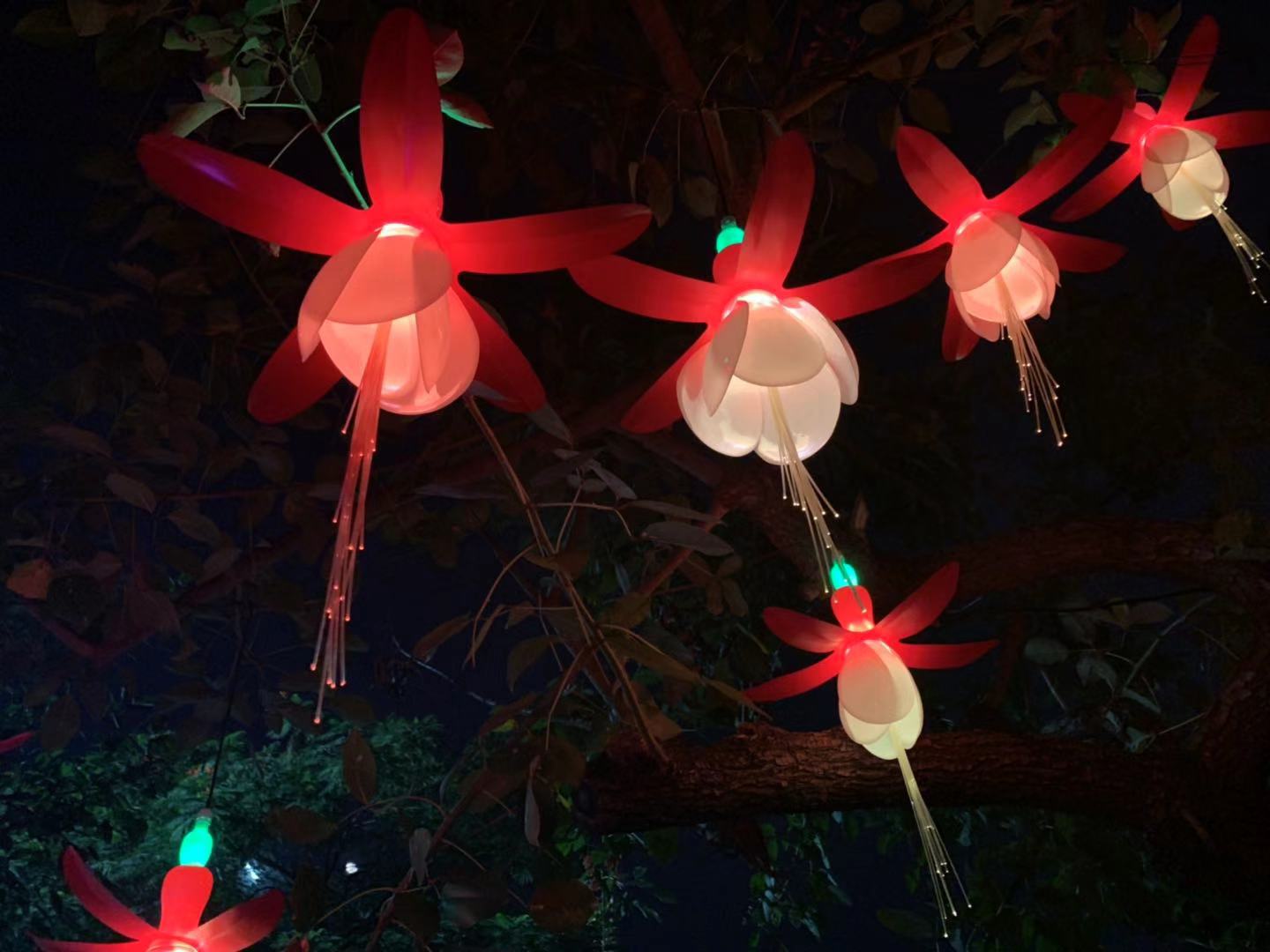 6d15192d4ffa1f01b2073e5cc38f4d