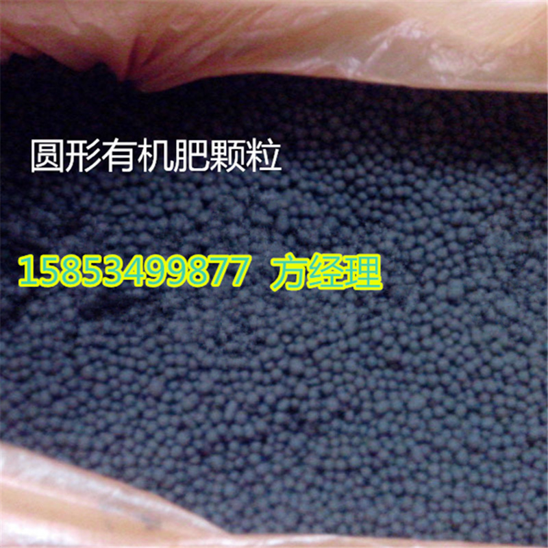 2677324246_388618727_副本