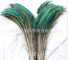销售孔雀毛 孔 雀边毛80/90cm插花装饰羽毛长短规格