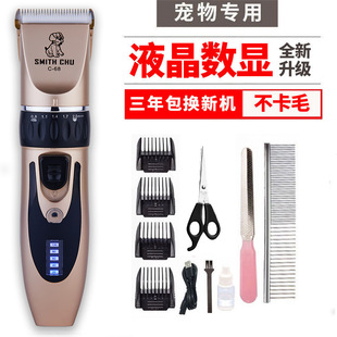 ������Ƽ�������ë��؈��̩�Ϲ�ë��ë�C늄���ë��������þߏS