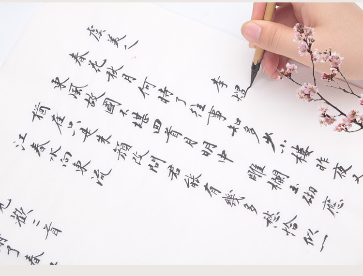 Weizhuang Small Regular Script Brush Calligraphy Copybook for Beginners, Soft Brush Xuan Paper Red Regular Script Brush Set for beginners pic 15