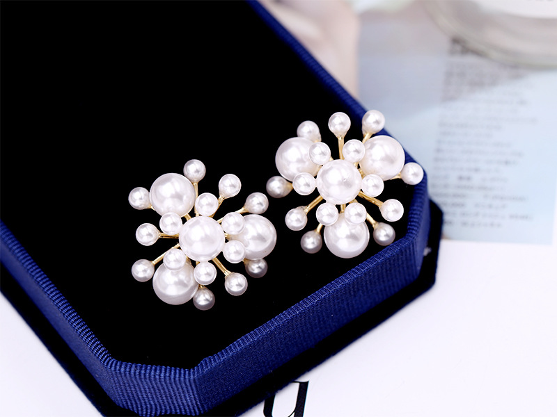 Pearl Size Pearl Temperament Earrings Female Fashion Earrings 925 Silver Needle Ear Jewelry display picture 1