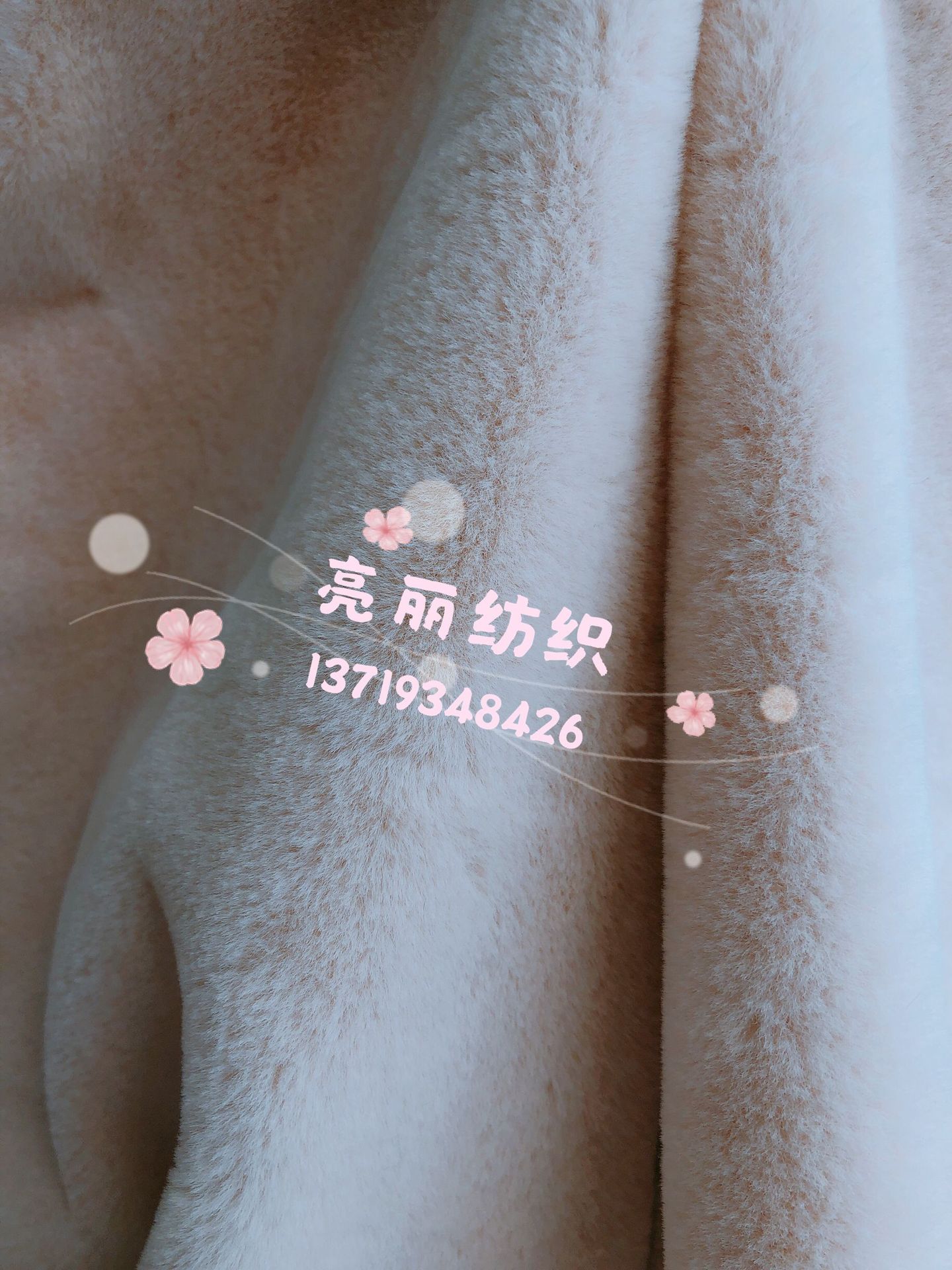 兔貂2