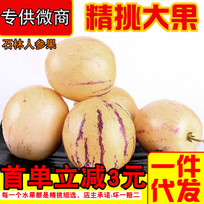 Yunnan Stone forest Ginseng Selective natural Large fruit fresh fruit Dedicated to WeChat Business]