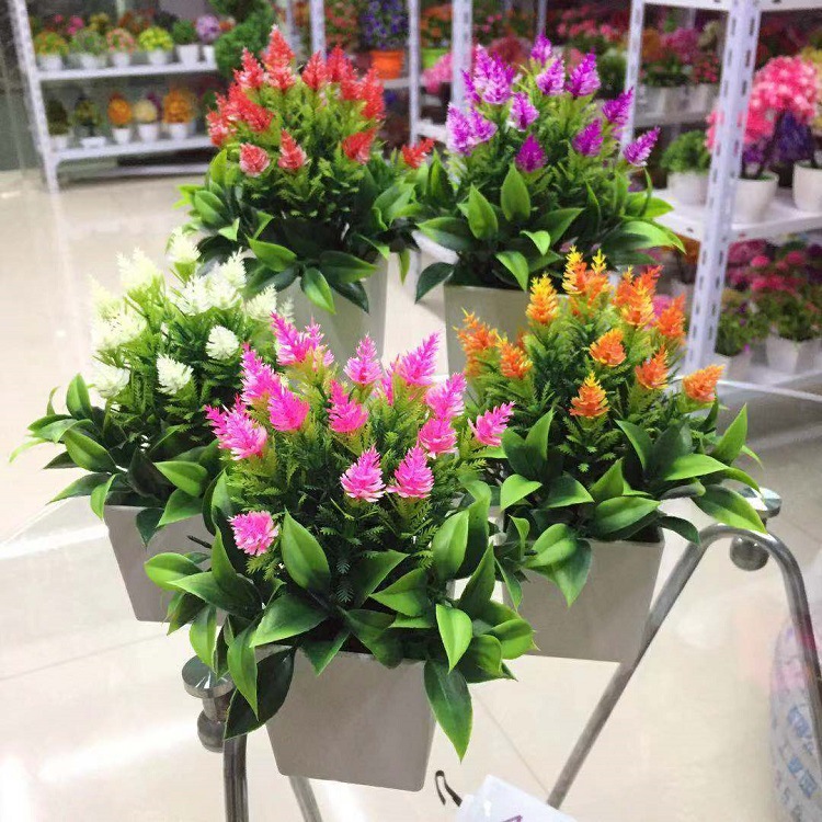 微信图片_20190302215502