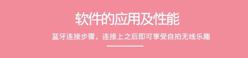 Bâton selfie en Acier inoxydable - Ref 3387267 Image 42