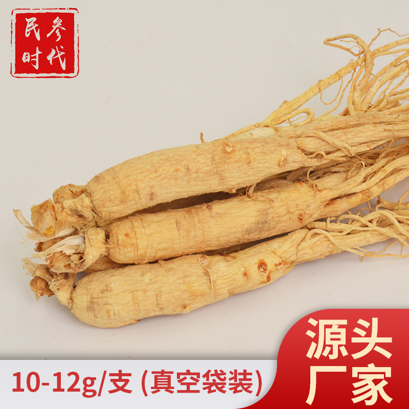 民參時代10-12g/只正品吉林全須幹人參 生曬全須白參真空袋裝