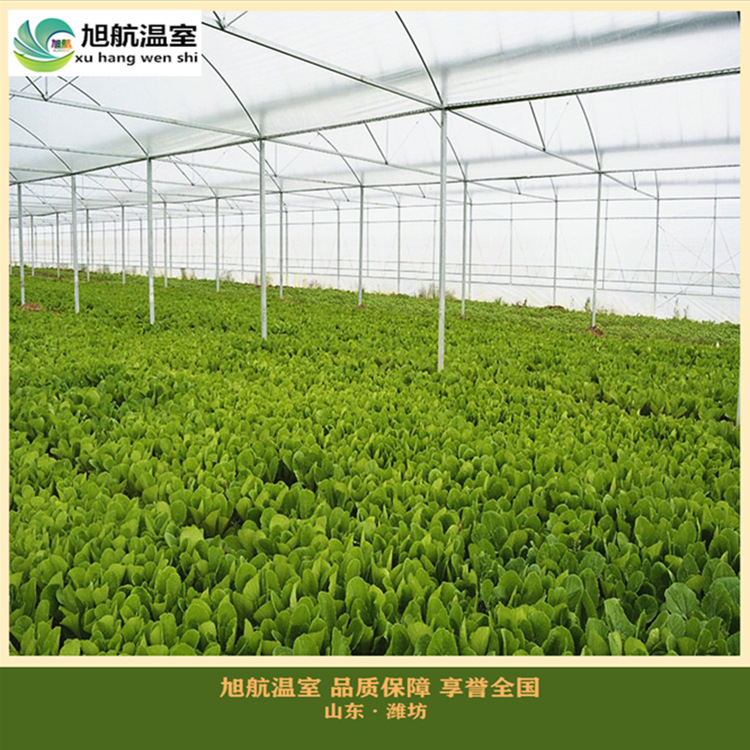 timg (5)_副本_副本