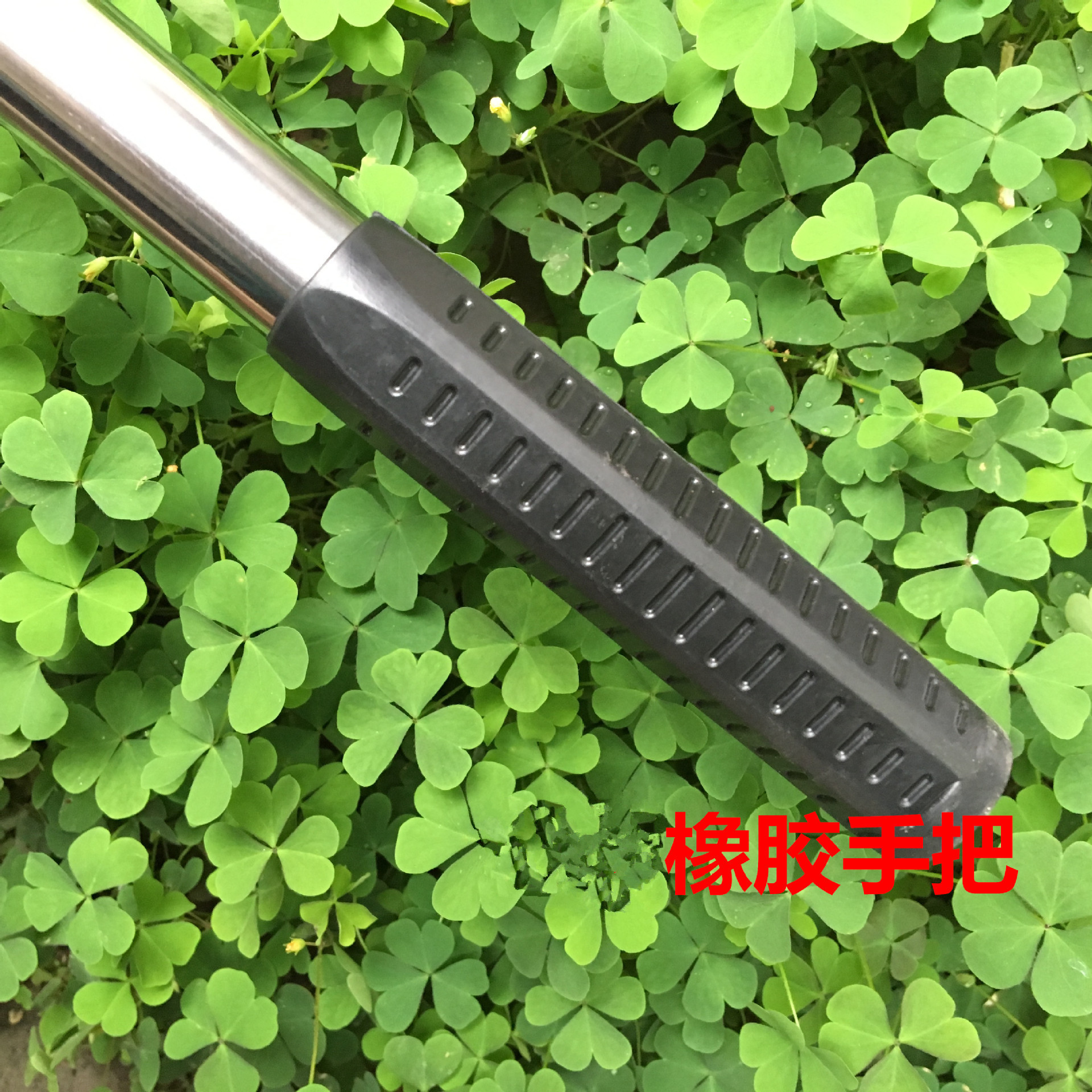 3285899420_12421784853_副本