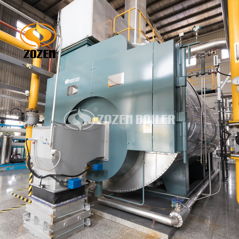 蒸汽鍋爐WNS (21)