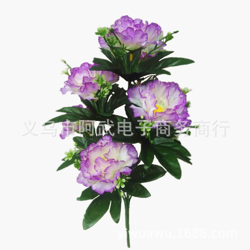 5077da16ea9d825f90423414a9dfdf