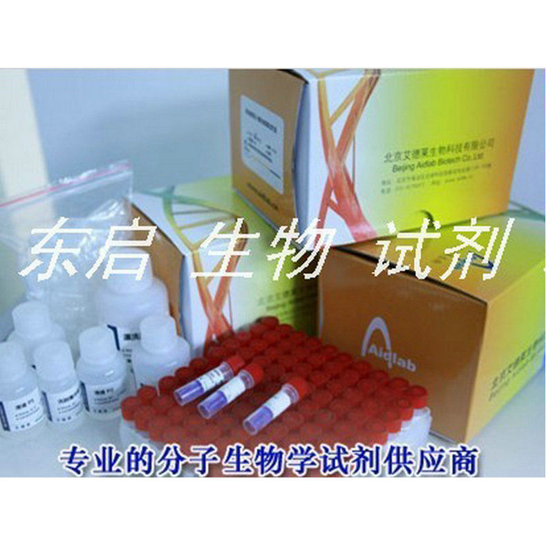 专业供应BCA蛋白定量试剂盒500次 ELISA试剂盒 逆转录试剂盒