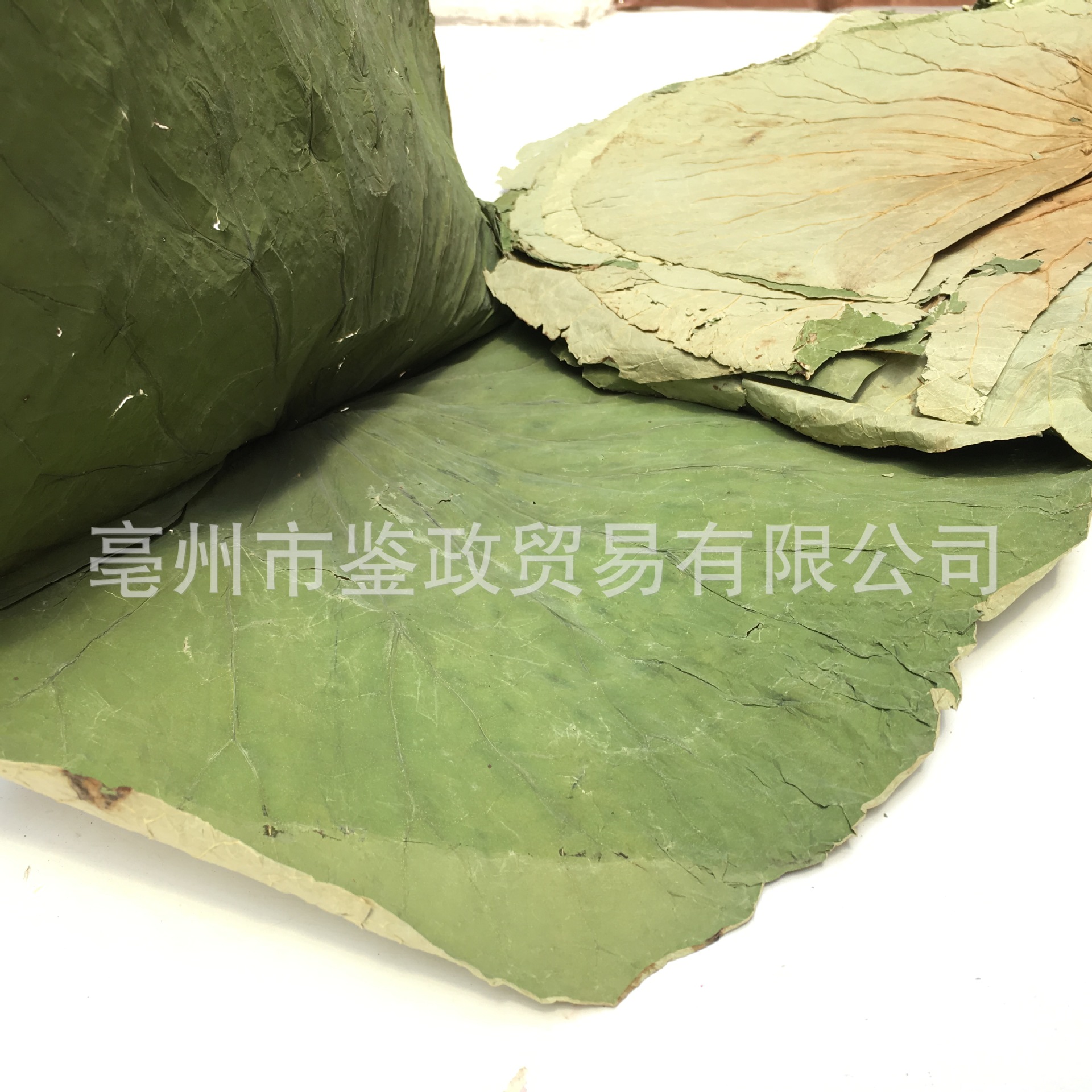 Whole Dried Lotus Leaf He Ye 500g Bag for Cooking Wrapping and Herbal Tea quality and texture
