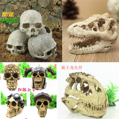 水族造景魚缸擺件萬聖節骷髏骨頭爬蟲箱恐龍樹脂頭骨爬蟲造景裝飾