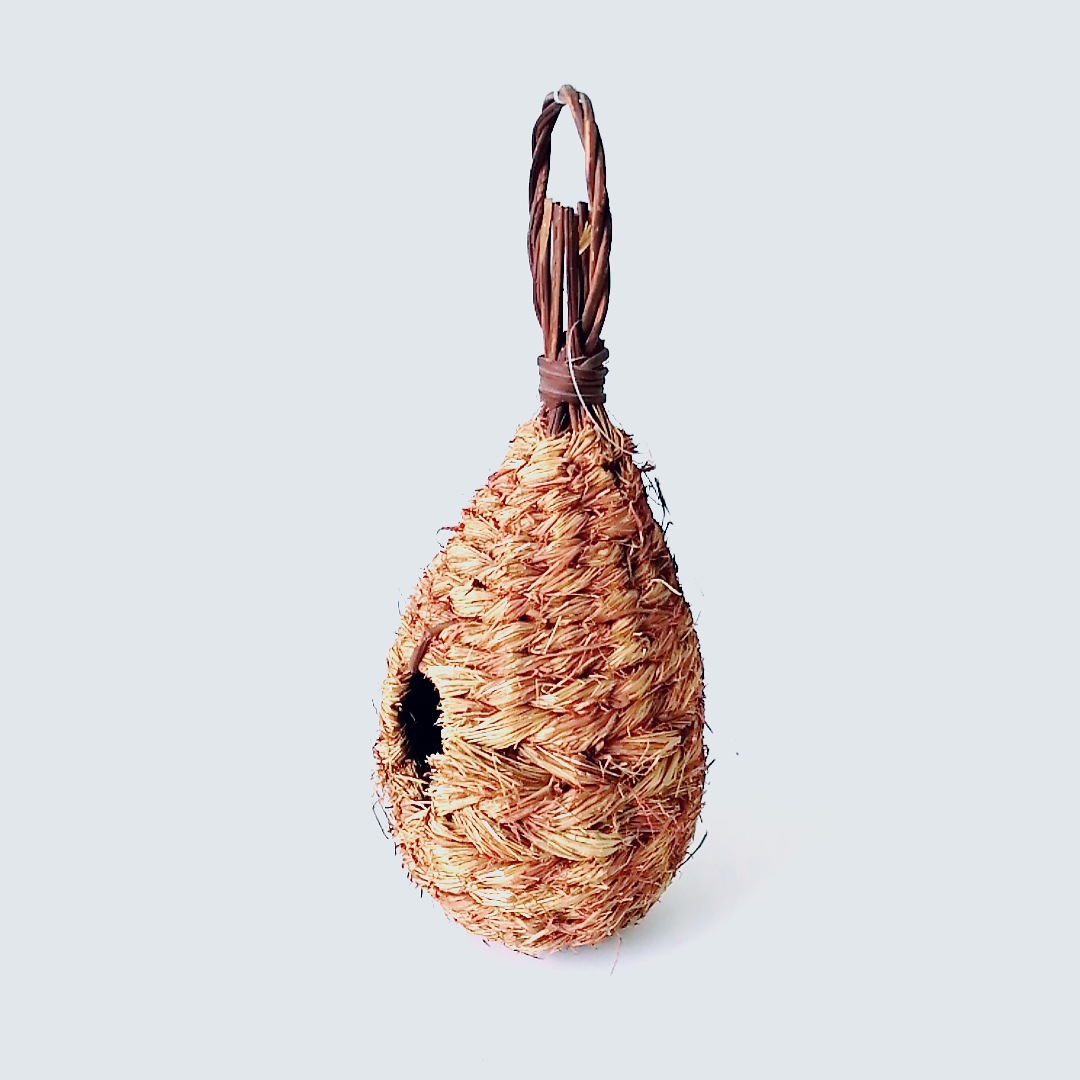 芙蓉草鸟窝 (1).jpg