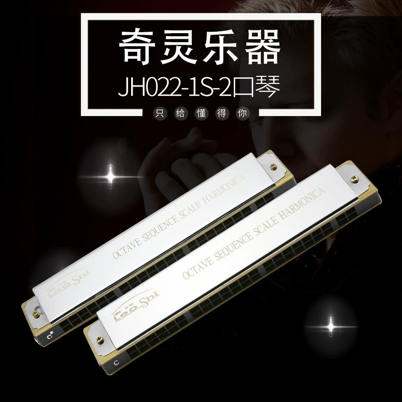 HLIO SHI old time 22-hole accent harmonica performance grade harmonica factory wholesale supply