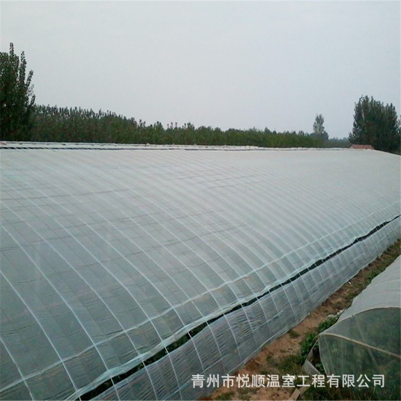 厂家制作日光温室 智能暖棚日光温室大棚 镀锌钢管大棚骨架