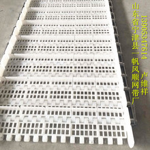 一帆风顺网带厂专业制做洗碗机网带 尼龙高温输送网带 餐具清洗网