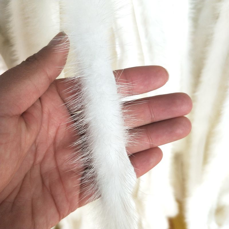 IMG20191014105450_副本.jpg