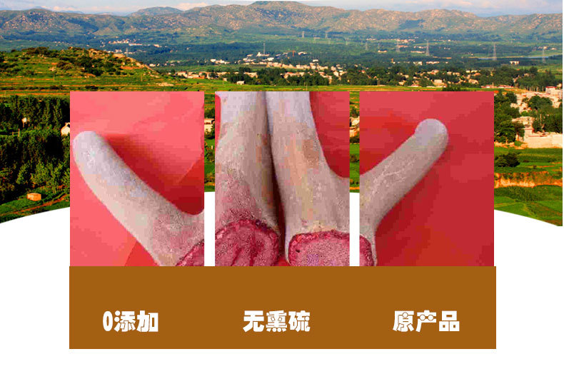 Deer Antler Slices (Cervus nippon) — Dried Velvet Antler Slices for Tonic Soups & Wine quality and texture