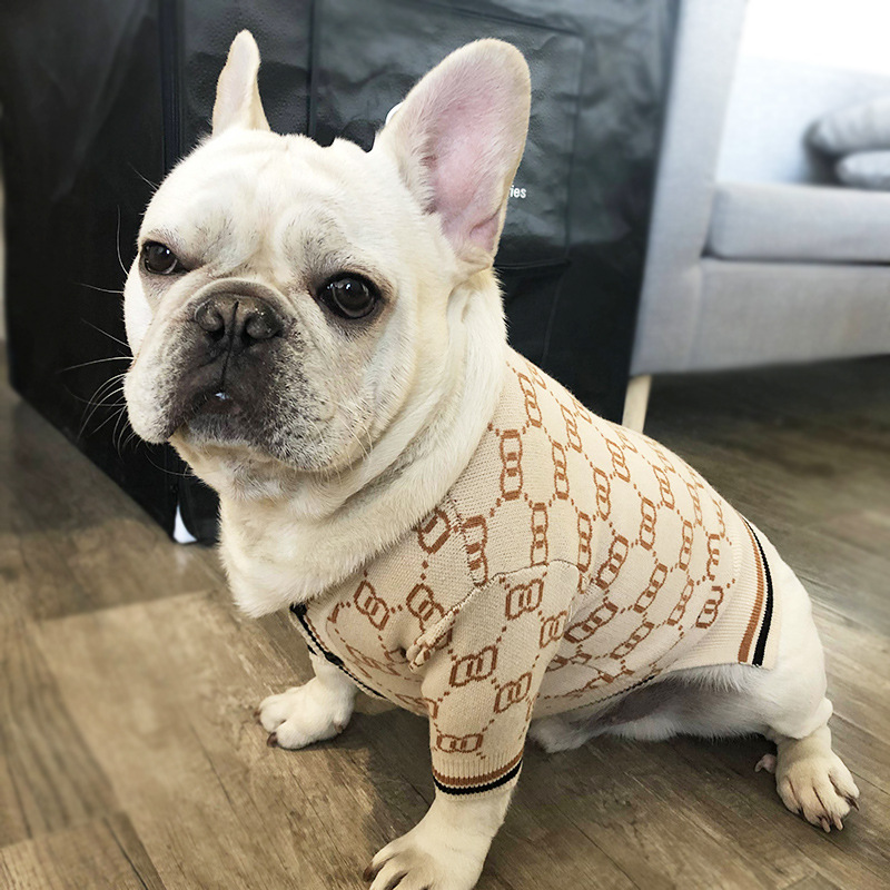 Pet Sweater 5