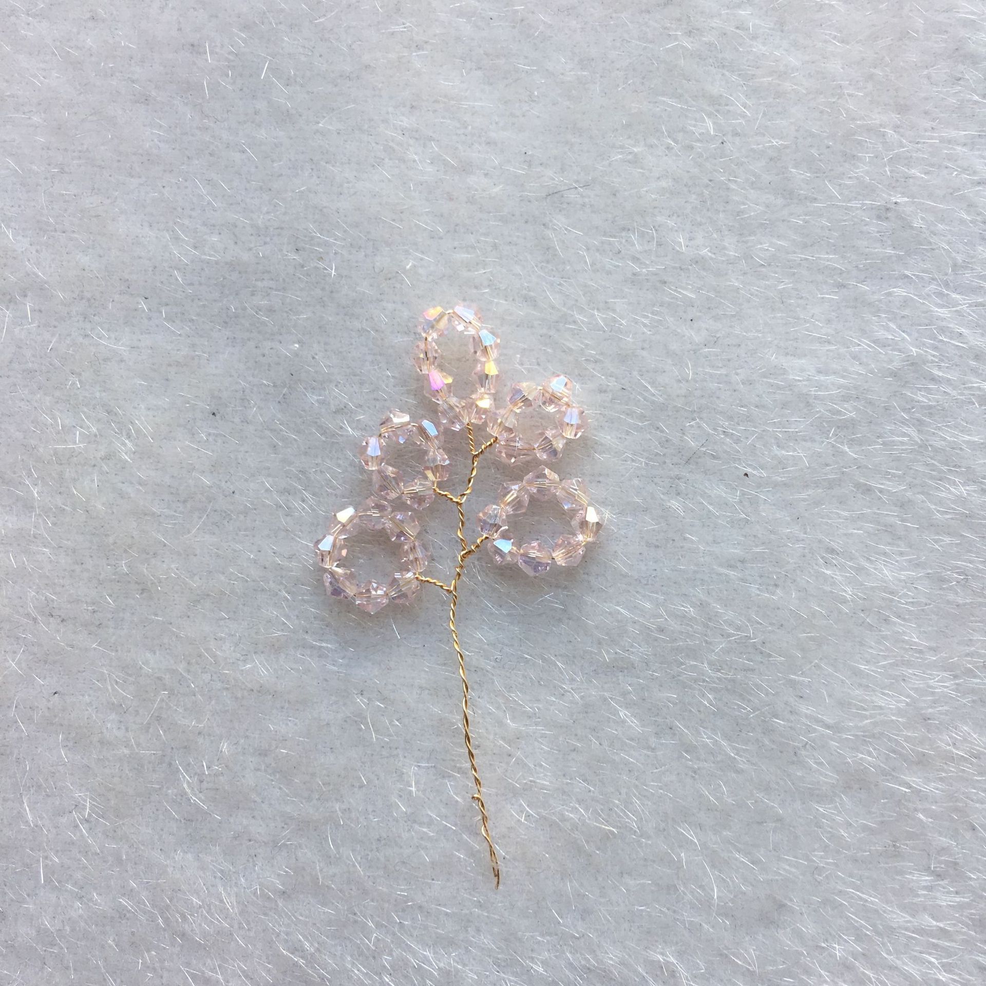 IMG_8894(20190524-075404)