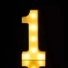 1 digital light 140g