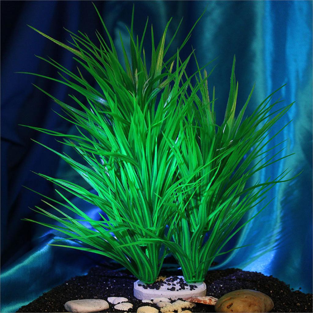 2584339827_1103982721