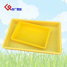 �L�������Ϝ\�P���P�߲˱P�бPʳƷ�P���D�P�Ӻ�����ռ{������P