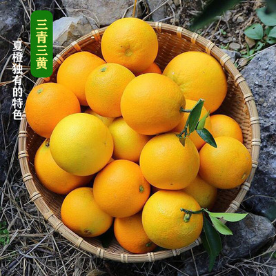 [Meishan specialty]Valencia Season fresh Orange Orange Navel Place of Origin One piece On behalf of