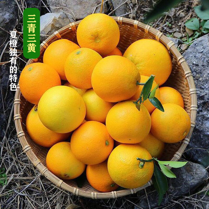 [Meishan specialty]Valencia Season fresh Orange Orange Navel Place of Origin One piece On behalf of