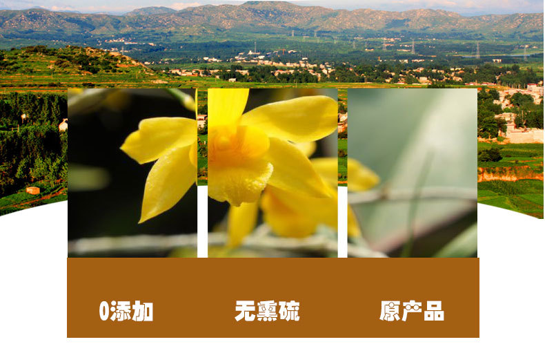 Gu Chui Shi Hu Flowers (Dendrobium chrysotoxum) — Dried Yunnan Dendrobium Flowers for Tea & Cooking quality and texture
