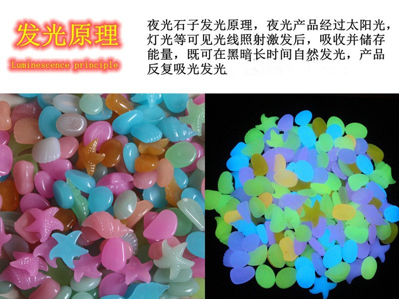 3647392897_852861192