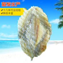 ՏS ~Ƭ ~Ƭ ʳʳ rr ~ˮaƷ