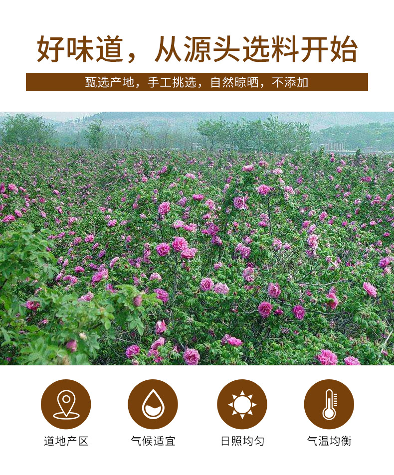 Rose Bud Tea (Rosa rugosa) — Dried Double-Petal Red Rose Flower Tea, 100g Jar key features