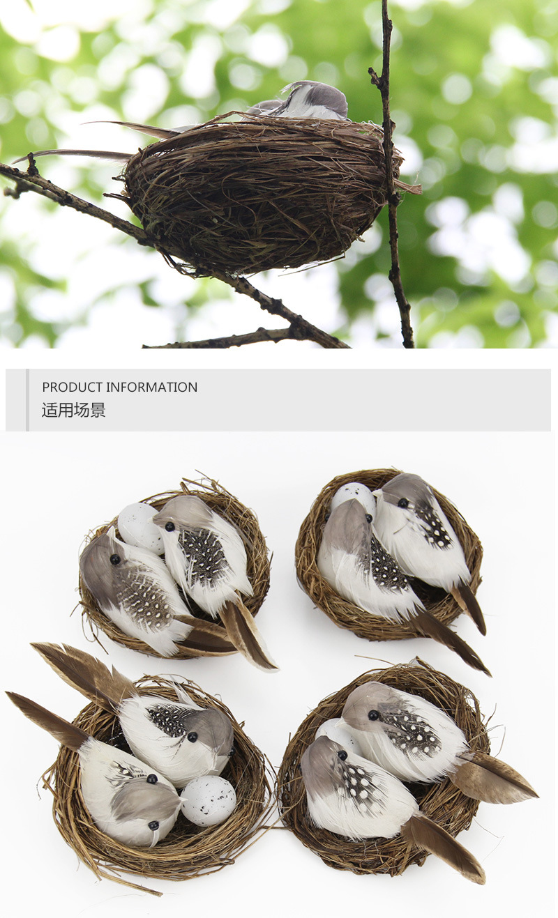 小鸟窝_10.jpg