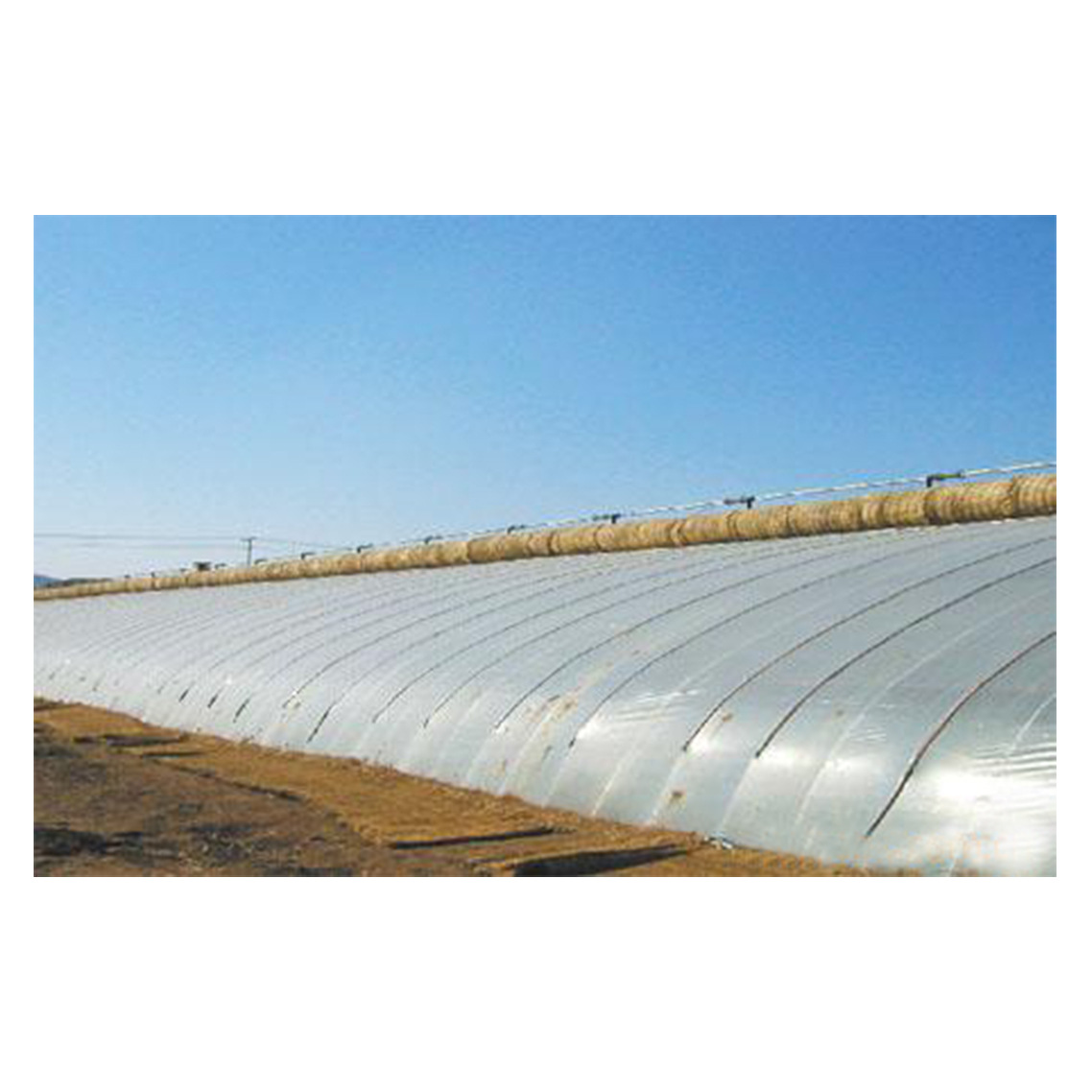 供应农膜大棚膜耐用轻便工艺好