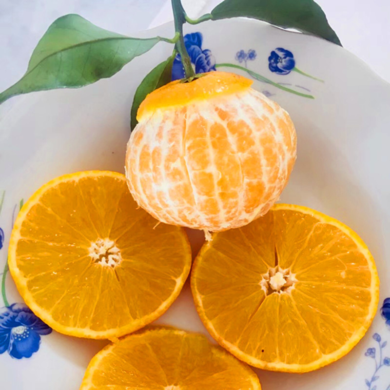 四川爱媛38号果冻橙水果新鲜当季橘子柑橘整箱桔子橙子代发|ms