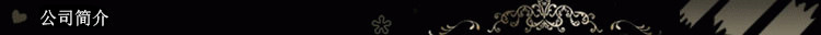 0公司简介.jpg