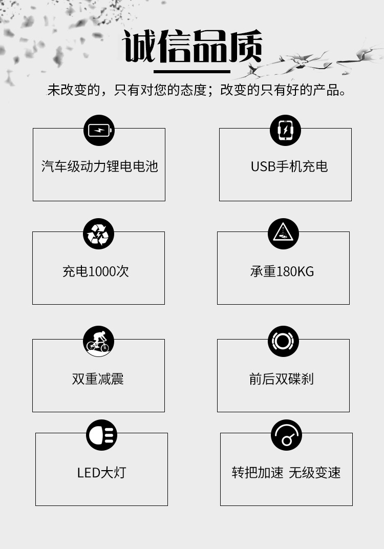 电动自行车,电动车 成人,电动车