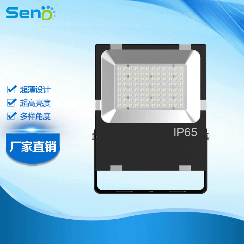 80W LED透镜款投光灯 泛光灯 户外防水5年质保 LED投射灯