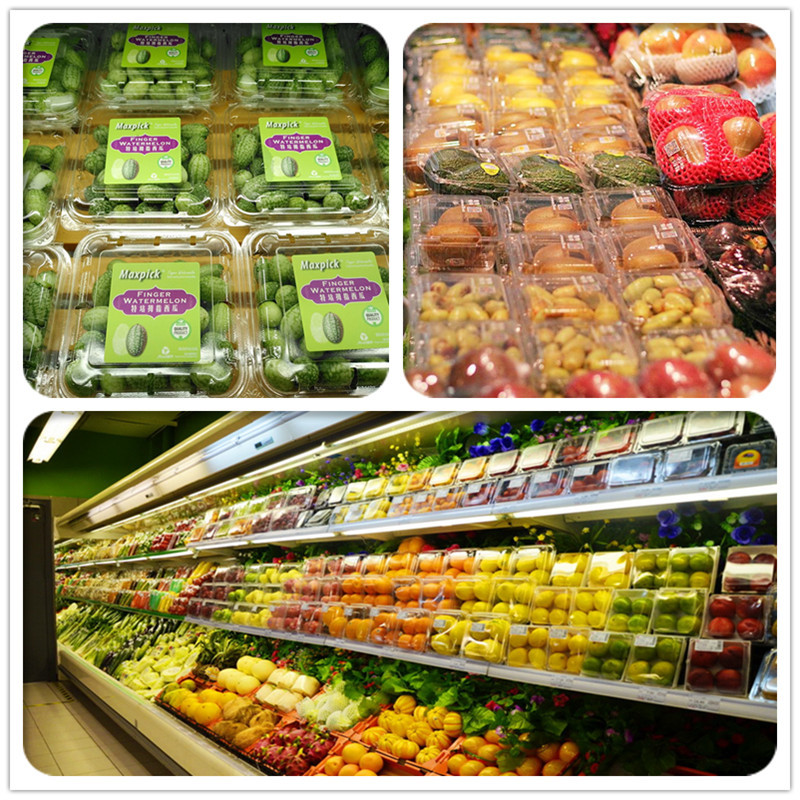 676e3f973a1847f09f1dba4925e1cd