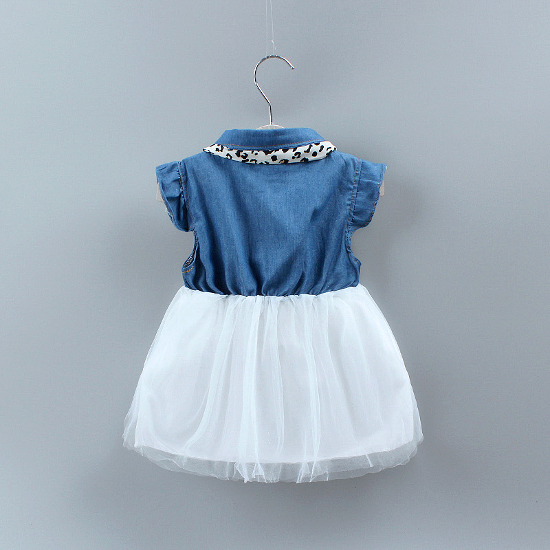 Denim Mesh Princess Dress