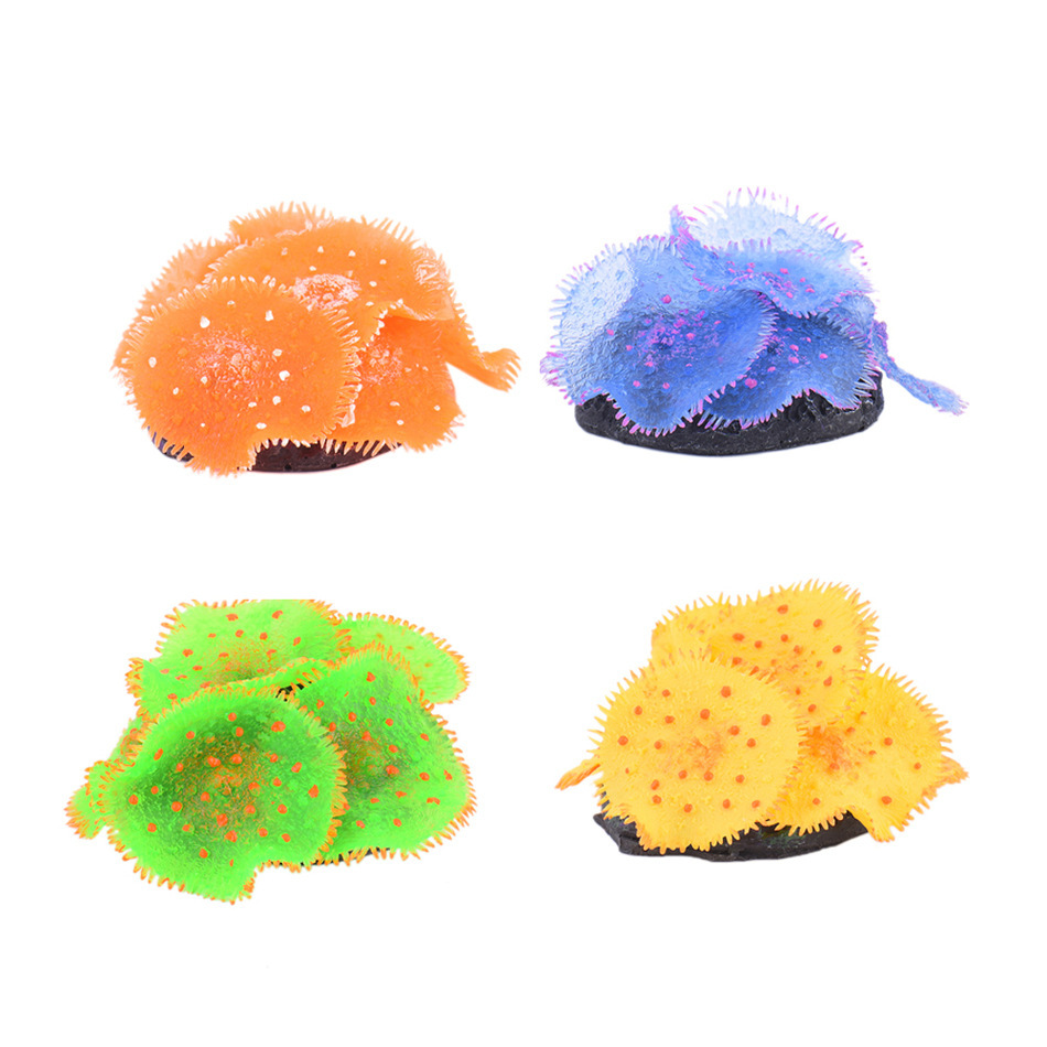 4154645265_1103982721