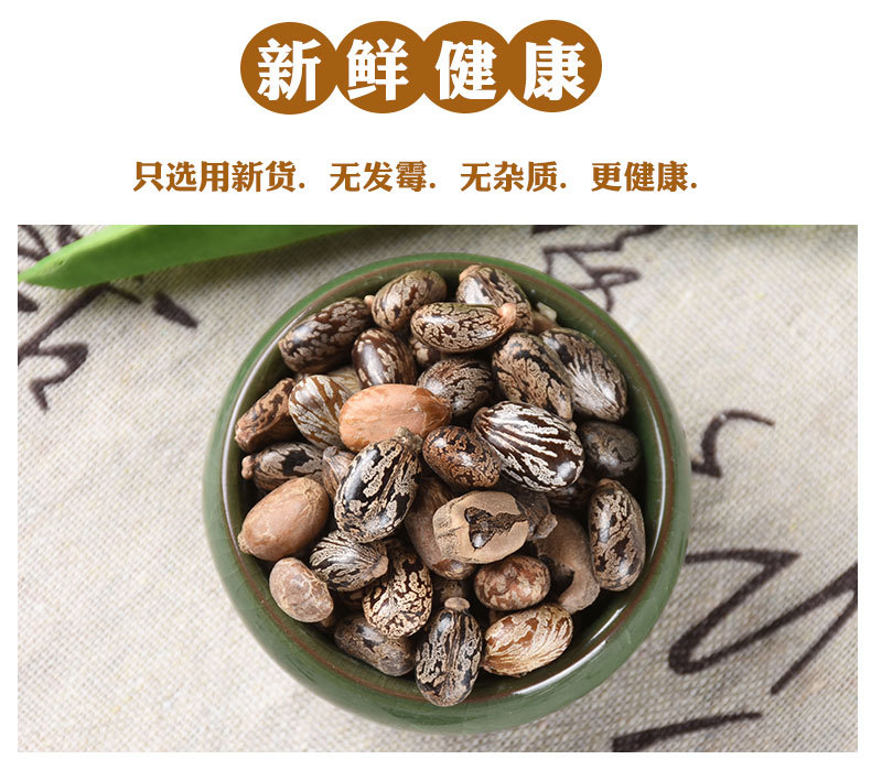 Castor Bean Seeds (Ricinus communis) — Dried Bi Ma Ren Herbal Seed, 500g specifications