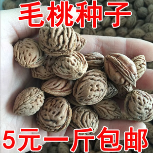 �²�ë�ҷN���Ҙ�ë�Һ˴������Һ��Ҙ�� ��N�Ӱ��]