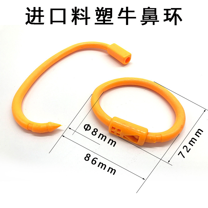 Кольцо в носу