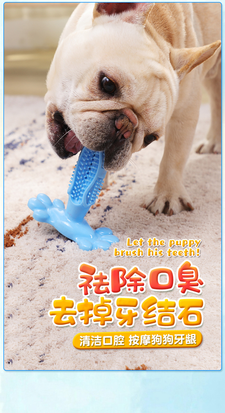狗牙刷详情_11