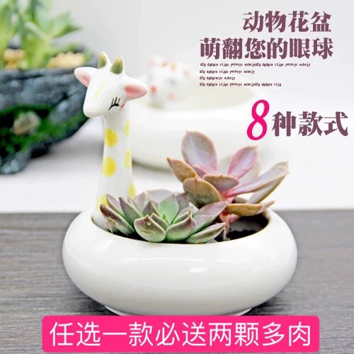Керамический цветочный горшок для суккулентов мультфильм керамический горшок для покупок и отправки суккулентов в помещении офисный Настольный очаровательный цветочный горшок