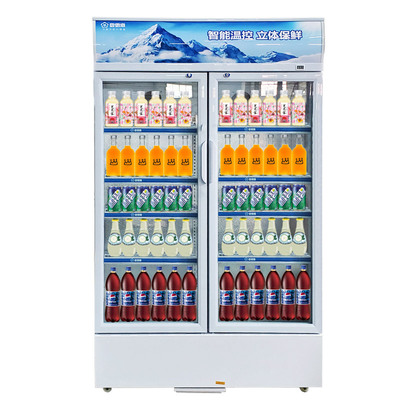 Snowsea/ Hornsey sea LC-533A Commercial display cabinet Cold storage Fruit drink Fresh cabinet Super Beer cabinet